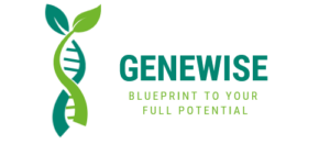cropped-logo-transparent.png